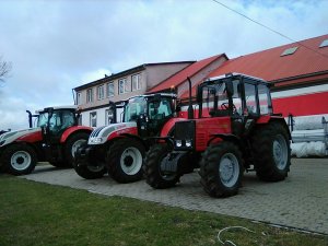 Belarus 820 & Steyr