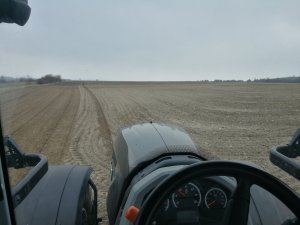 Jęczmień jary Soldo 