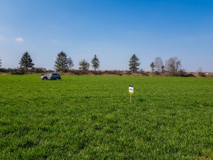 Jęczmień ozimy 23.03.2019