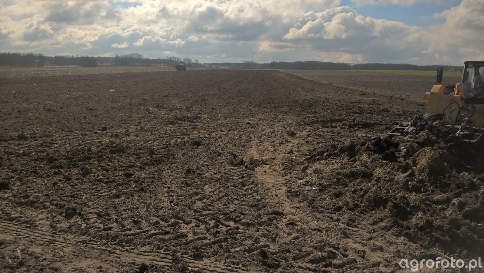 Pole - zdjęcie, fotka, foto numer: 750087 - Galeria rolnicza agrofoto