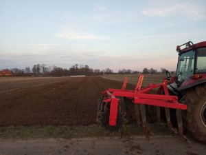 Poletko pod pszenicę