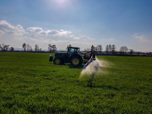 Pszenica ozima Rivero - skracanie - 23.03.2019