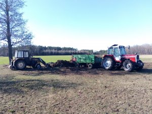Ursus+Massey Ferguson