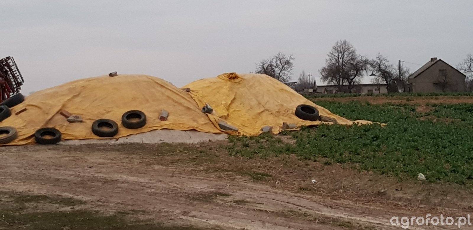 Wapno Obrazek, fotka, zdjecie, photo 750501 Galeria rolnicza agrofoto