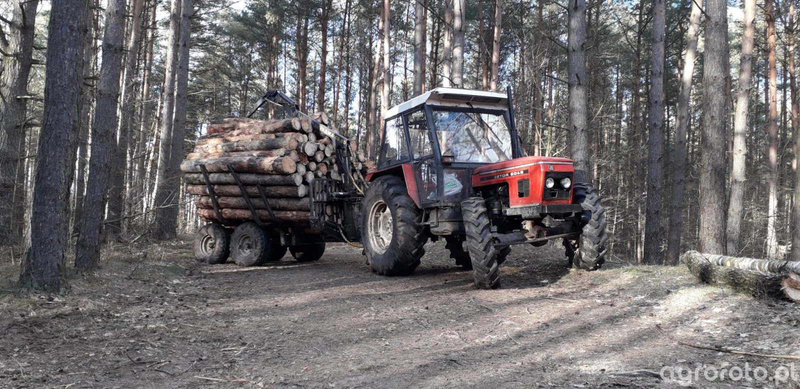 ZETOR 6045
