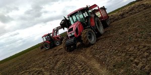 Zetor Forterra 115 i  Major 80