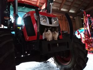 Zetor Proxima 120 HS 