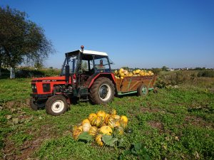 Zetor 7211