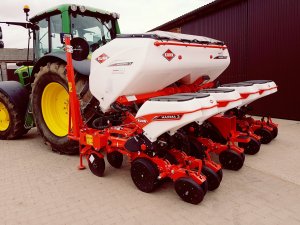 Kuhn maxima