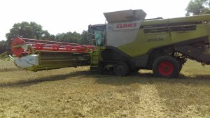 Lexion 770 tt