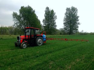 Massey Ferguson 255 & Biardzki