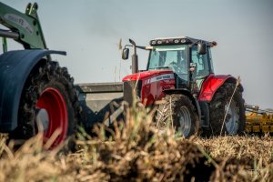 Massey Ferguson 7499