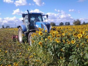 New holland T7 200