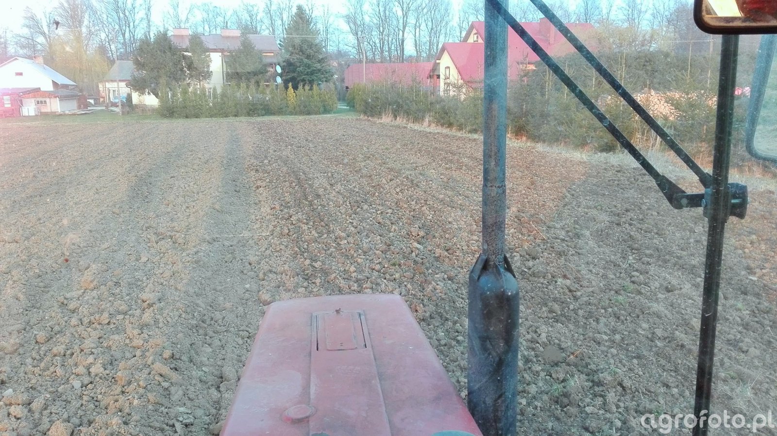 Pole - zdjęcie, fotka, foto numer: 751391 - Galeria rolnicza agrofoto