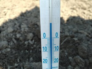 Temperatura na 10 cm