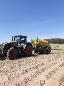 Claas Axion 920 & Dammann Profi Claas 