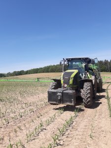 Claas Axion 920 & Dammann Profi Claas