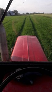 jęczmień jary eunova