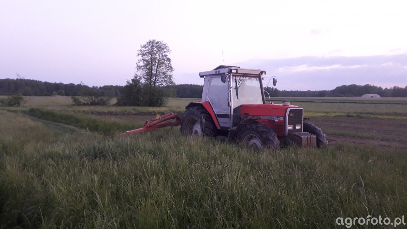 Massey Ferguson 3080 & Pottinger Nova Cat 305H