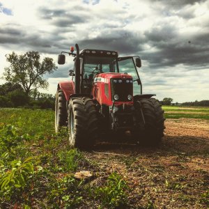 Massey Ferguson 6495