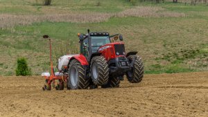 Massey Ferguson 7495