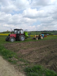 Okienko pogodowe. Pyry się odchwascilo a i T1 się zakończyło. 