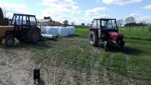 Zetor 4911 & Ursus 360 owijanie żyta