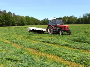 Zetor 7711 