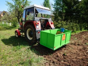 Zetor przy sadzeniu ziemniaków