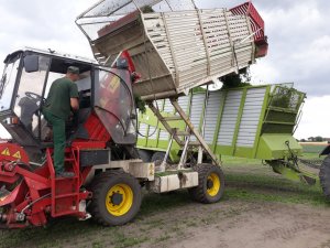 de pietri zetor forterra i metal fach 