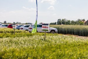 Dzień Pola Spytkówki 2019