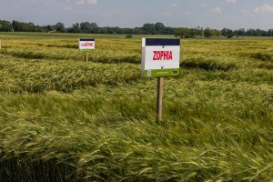 Dzień Pola Spytkówki 2019