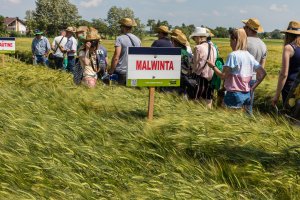 Dzień Pola Spytkówki 2019
