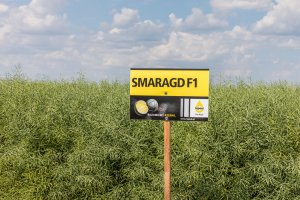 Dzień Pola Spytkówki 2019