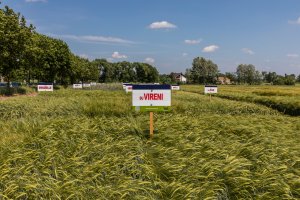 Dzień Pola Spytkówki 2019