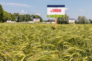 Dzień Pola Spytkówki 2019