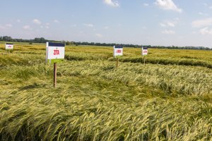 Dzień Pola Spytkówki 2019