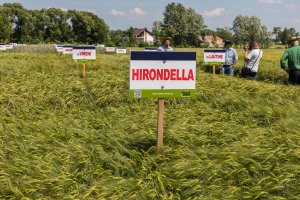 Dzień Pola Spytkówki 2019