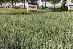 Dzień Pola Spytkówki 2019