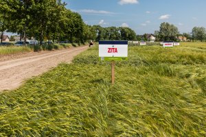 Dzień Pola Spytkówki 2019