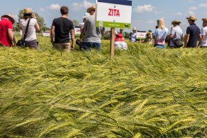 Dzień Pola Spytkówki 2019