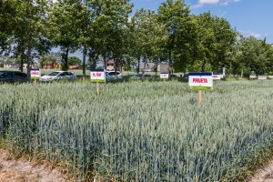 Dzień Pola Spytkówki 2019