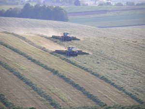 Fastrac JCB 3230 & Zgrabiarka z przenośnikiem taśmowym