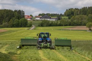 GigaCUT w Bawarii (SaMASZ)