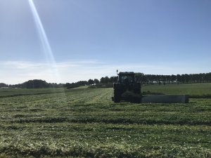 Mieszanka koniczyn z trawami