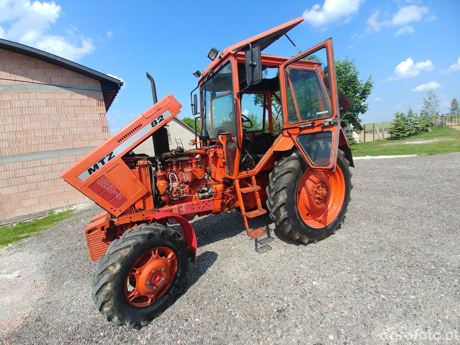 obraz-traktor-mtz-82-id-756378-galeria-rolnicza-agrofoto