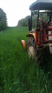 Oprysk Owsa przeciw szkodnikom+ odżywianie :)