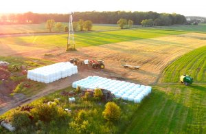 Sianokiszonka pierwszy pokos 258 szt