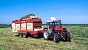 Zetor 8245 + Krone Titan 6/36 GD