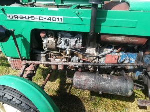 Umyty/wyczyszczony ursus C-4011